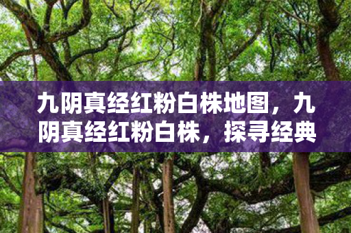 九阴真经红粉白株地图，九阴真经红粉白株，探寻经典武侠世界的独特魅力