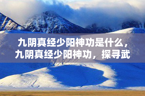 九阴真经少阳神功是什么图片