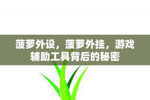 菠萝外设，菠萝外挂，游戏辅助工具背后的秘密