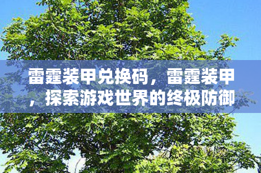 雷霆装甲兑换码，雷霆装甲，探索游戏世界的终极防御