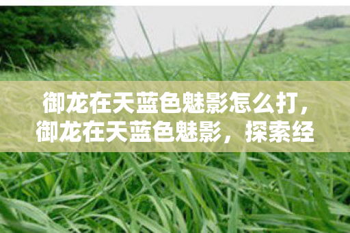 御龙在天蓝色魅影怎么打,御龙在天蓝色魅影,探索经典游戏的魅力与传承 御龙在天蓝色魅影怎么打,御龙在天蓝色魅影,探索经典游戏的魅力与传承