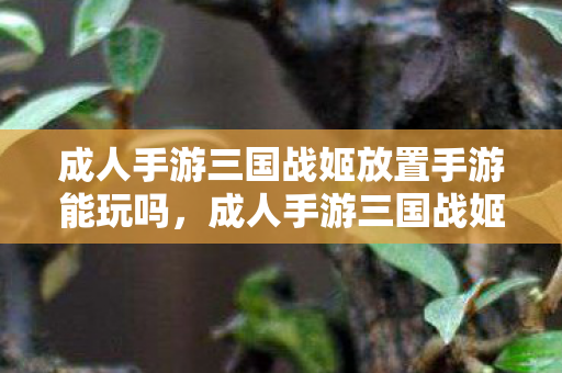 成人手游三国战姬放置手游能玩吗,成人手游三国战姬放置手游,策略与美色的完美结合 成人手游三国战姬放置手游能玩吗,成人手游三国战姬放置手游,策略与美色的完美结合