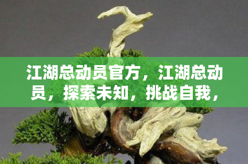 江湖总动员官方,江湖总动员,探索未知,挑战自我,共赴江湖之旅 江湖总动员官方,江湖总动员,探索未知,挑战自我,共赴江湖之旅