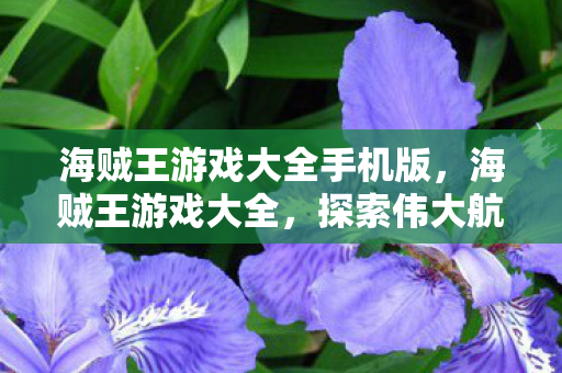 海贼王游戏大全手机版,海贼王游戏大全,探索伟大航路的无限可能 海贼王游戏大全手机版,海贼王游戏大全,探索伟大航路的无限可能