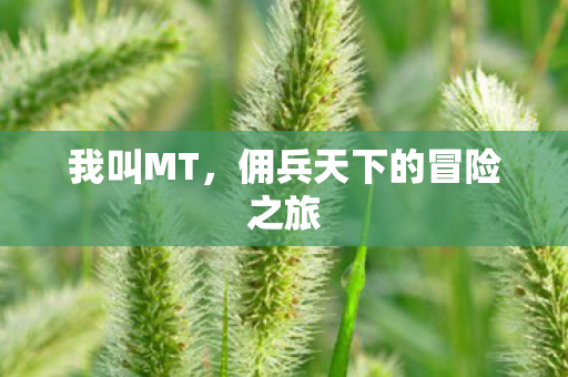 我叫MT,佣兵天下的冒险之旅 我叫MT,佣兵天下的冒险之旅
