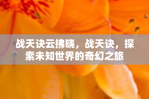 战天诀云拂晓，战天诀，探索未知世界的奇幻之旅