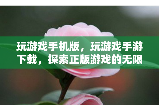 玩游戏手机版,玩游戏手游下载,探索正版游戏的无限乐趣 玩游戏手机版,玩游戏手游下载,探索正版游戏的无限乐趣