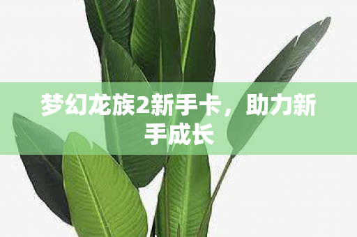 梦幻龙族2新手卡,助力新手成长 梦幻龙族2新手卡,助力新手成长