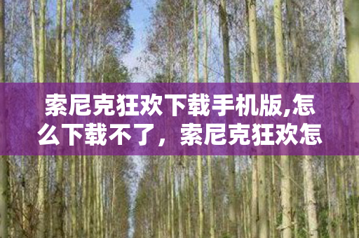 索尼克狂欢下载手机版,怎么下载不了，索尼克狂欢怎么下载手机版