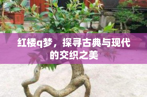 探寻古典与现代的交织之美图片