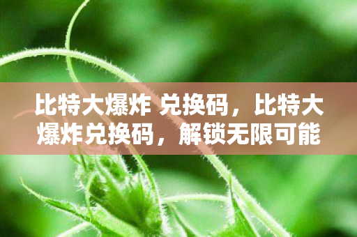 比特大爆炸 兑换码,比特大爆炸兑换码,解锁无限可能的数字宝藏 比特大爆炸 兑换码,比特大爆炸兑换码,解锁无限可能的数字宝藏