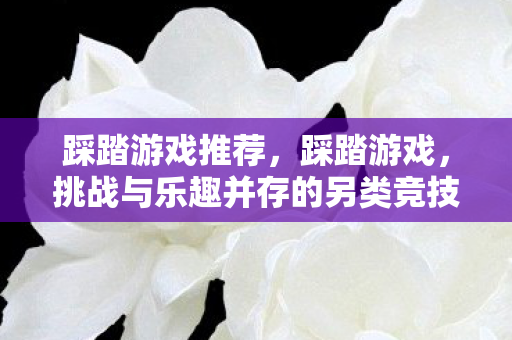 挑战与乐趣并存的另类竞技图片