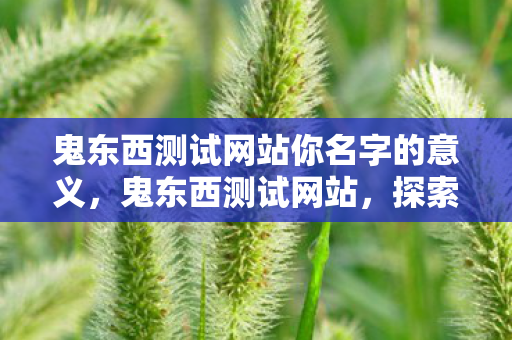 鬼东西测试网站你名字的意义,鬼东西测试网站,探索未知,挑战极限 鬼东西测试网站你名字的意义,鬼东西测试网站,探索未知,挑战极限