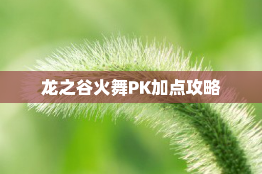 龙之谷火舞PK加点攻略 龙之谷火舞PK加点攻略