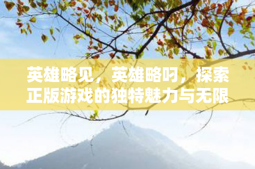 英雄略见，英雄略叼，探索正版游戏的独特魅力与无限可能