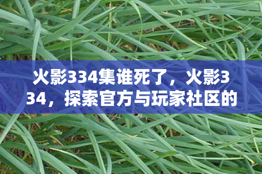 火影334集谁死了，火影334，探索官方与玩家社区的互动新篇章