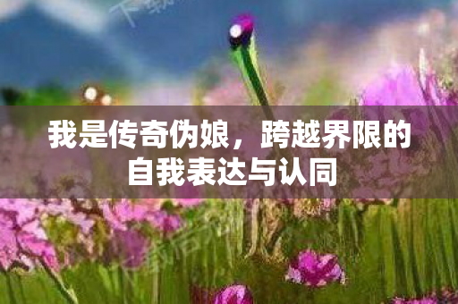 我是传奇伪娘,跨越界限的自我表达与认同 我是传奇伪娘,跨越界限的自我表达与认同