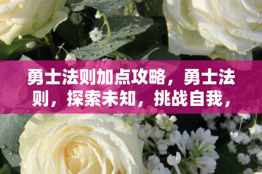 勇士法则加点攻略图片