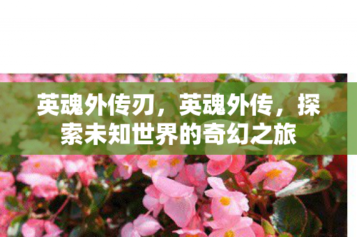 英魂外传刃,英魂外传,探索未知世界的奇幻之旅 英魂外传刃,英魂外传,探索未知世界的奇幻之旅