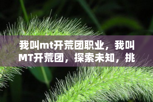 我叫mt开荒团职业，我叫MT开荒团，探索未知，挑战自我