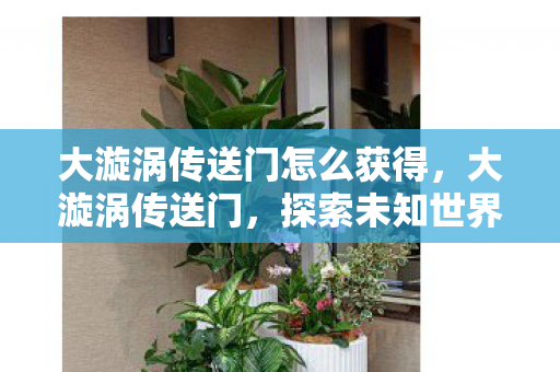 大漩涡传送门怎么获得，大漩涡传送门，探索未知世界的神秘通道
