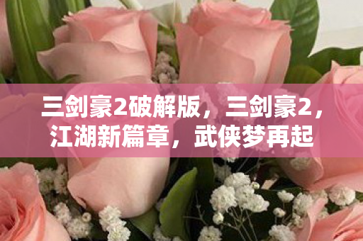三剑豪2破解版,三剑豪2,江湖新篇章,武侠梦再起 三剑豪2破解版,三剑豪2,江湖新篇章,武侠梦再起