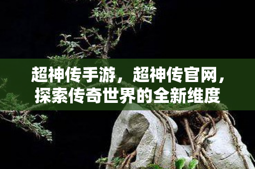探索传奇世界的全新维度图片