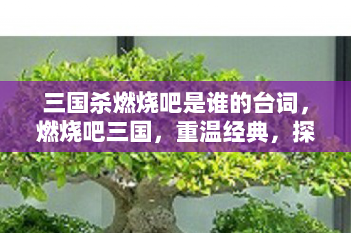 三国杀燃烧吧是谁的台词图片
