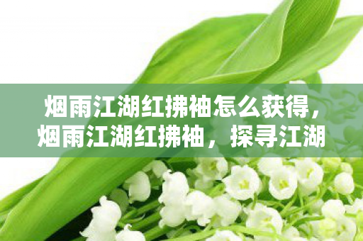 烟雨江湖红拂袖怎么获得，烟雨江湖红拂袖，探寻江湖中的一抹红颜