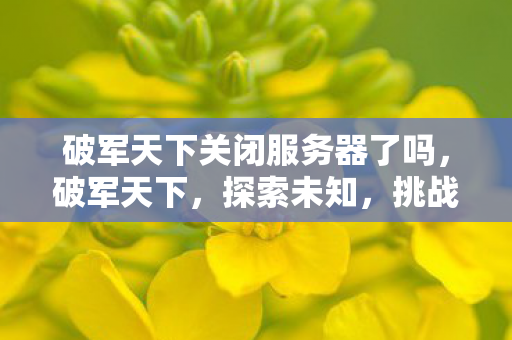 破军天下关闭服务器了吗,破军天下,探索未知,挑战极限的网游之旅 破军天下关闭服务器了吗,破军天下,探索未知,挑战极限的网游之旅