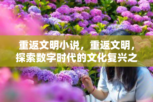 重返文明小说,重返文明,探索数字时代的文化复兴之路 重返文明小说,重返文明,探索数字时代的文化复兴之路
