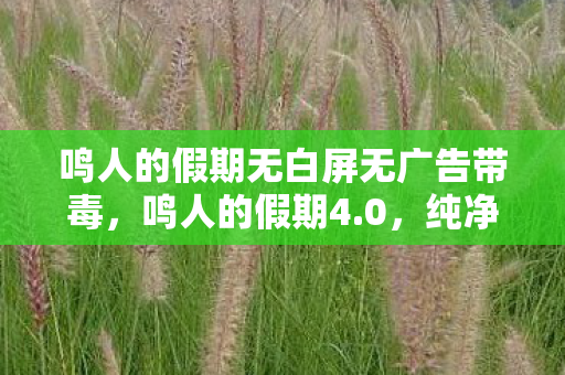 鸣人的假期无白屏无广告带毒,鸣人的假期4.0,纯净版体验,无白屏无广告无闪退 鸣人的假期无白屏无广告带毒,鸣人的假期4.0,纯净版体验,无白屏无广告无闪退