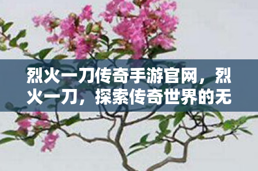 烈火一刀传奇手游官网,烈火一刀,探索传奇世界的无尽魅力 烈火一刀传奇手游官网,烈火一刀,探索传奇世界的无尽魅力