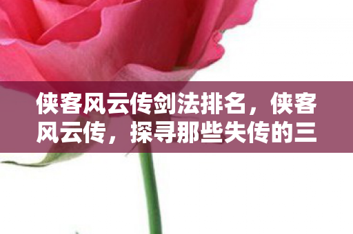 侠客风云传剑法排名,侠客风云传,探寻那些失传的三字以上剑法 侠客风云传剑法排名,侠客风云传,探寻那些失传的三字以上剑法