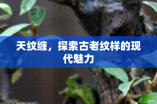 天纹缠,探索古老纹样的现代魅力 天纹缠,探索古老纹样的现代魅力