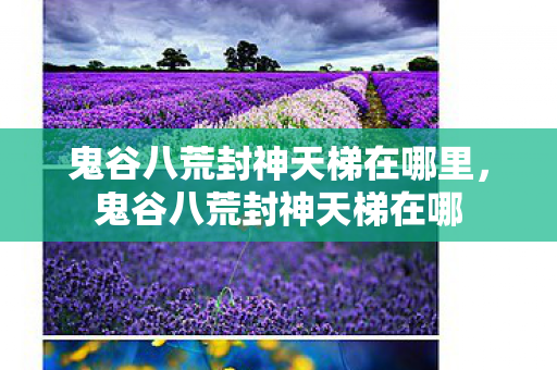 鬼谷八荒封神天梯在哪里,鬼谷八荒封神天梯在哪 鬼谷八荒封神天梯在哪里,鬼谷八荒封神天梯在哪