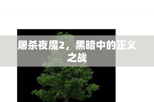 屠杀夜魔2，黑暗中的正义之战