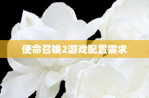 使命召唤2游戏配置需求