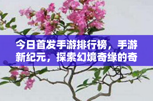 探索幻境奇缘的奇幻之旅图片