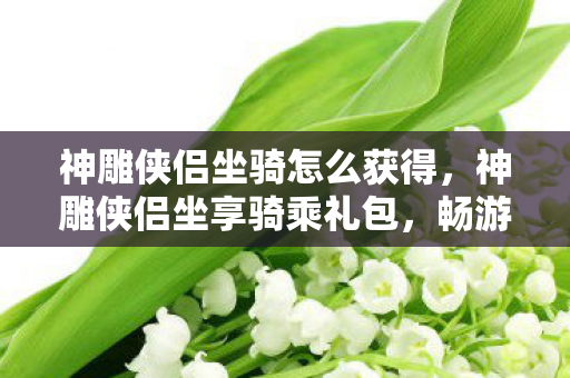 神雕侠侣坐骑怎么获得，神雕侠侣坐享骑乘礼包，畅游江湖的必备神器