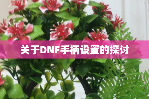 关于DNF手柄设置的探讨