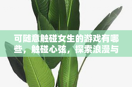 可随意触碰女生的游戏有哪些,触碰心弦,探索浪漫与冒险的奇妙游戏世界 可随意触碰女生的游戏有哪些,触碰心弦,探索浪漫与冒险的奇妙游戏世界