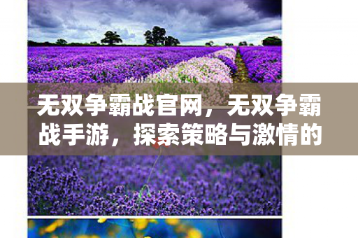无双争霸战官网,无双争霸战手游,探索策略与激情的无限可能 无双争霸战官网,无双争霸战手游,探索策略与激情的无限可能