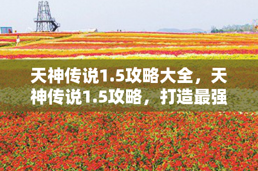 天神传说1.5攻略大全,天神传说1.5攻略,打造最强角色的全面指南 天神传说1.5攻略大全,天神传说1.5攻略,打造最强角色的全面指南