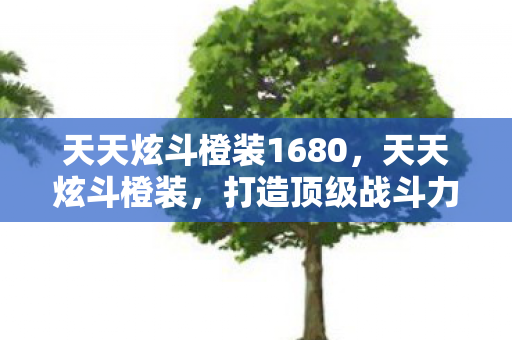 天天炫斗橙装1680,天天炫斗橙装,打造顶级战斗力的必备神器 天天炫斗橙装1680,天天炫斗橙装,打造顶级战斗力的必备神器