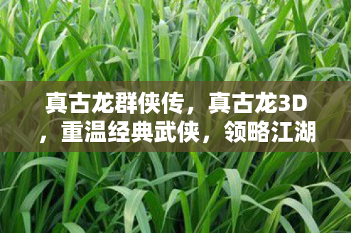 真古龙群侠传图片