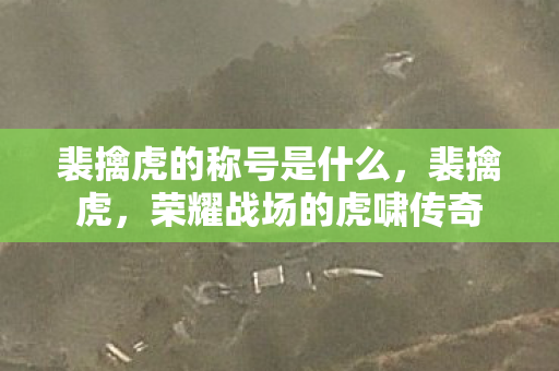 裴擒虎的称号是什么图片
