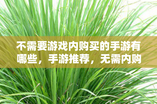 不需要游戏内购买的手游有哪些,手游推荐,无需内购,畅享无限乐趣 不需要游戏内购买的手游有哪些,手游推荐,无需内购,畅享无限乐趣