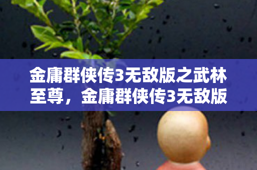 金庸群侠传3无敌版之武林至尊,金庸群侠传3无敌版,重温经典,再战江湖 金庸群侠传3无敌版之武林至尊,金庸群侠传3无敌版,重温经典,再战江湖