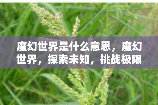 魔幻世界是什么意思,魔幻世界,探索未知,挑战极限 魔幻世界是什么意思,魔幻世界,探索未知,挑战极限